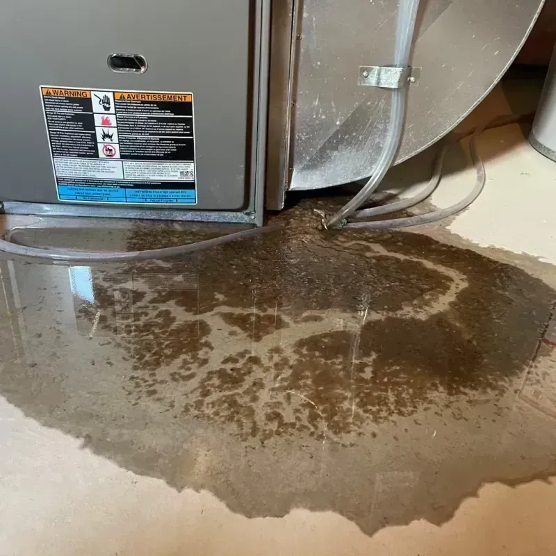 Appliance Leak Cleanup in Roselle, IL